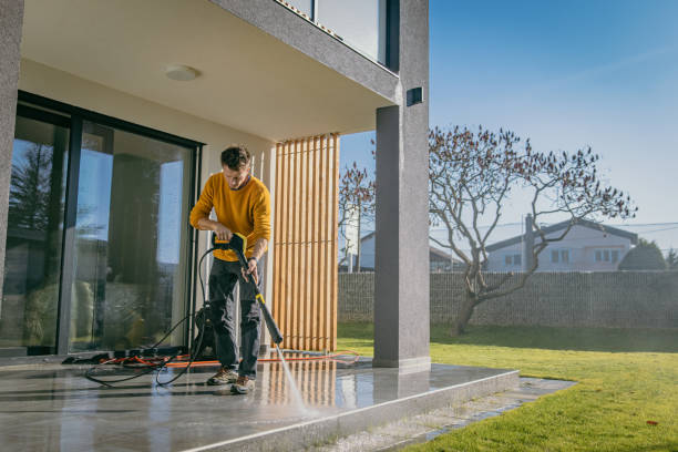 Best Building Exterior Washing  in Forest View, IL